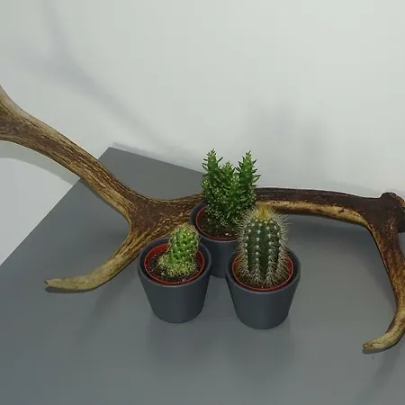 Hotel Hotel Vierhouten 3*