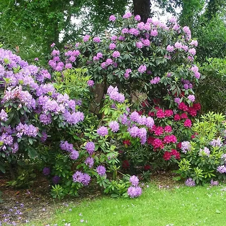 Hotel Hotel Vierhouten 3*