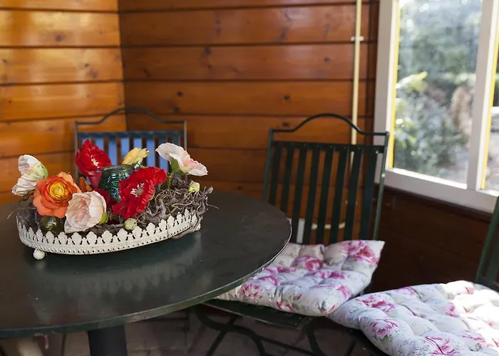 Hotel Hotel Vierhouten 3*