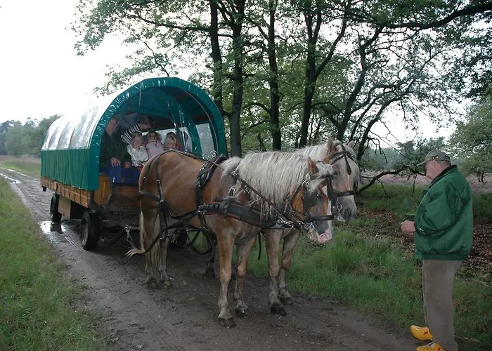 Hotel Hotel Vierhouten 3*