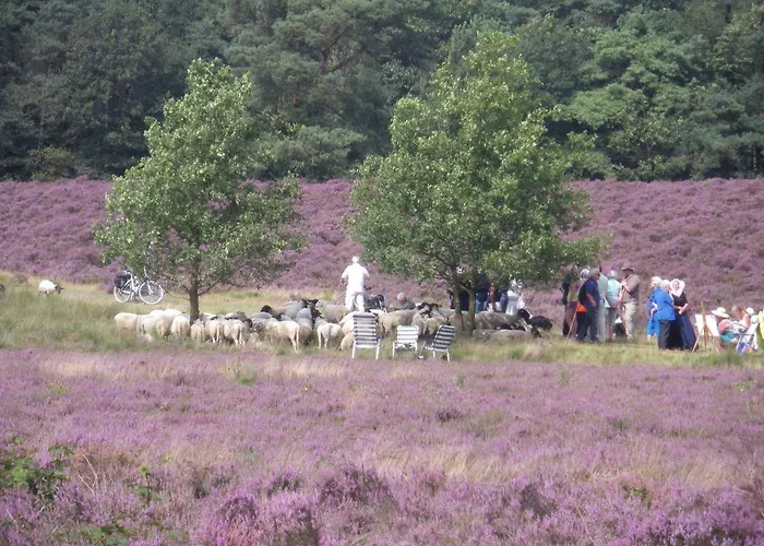 Hotell Hotel Vierhouten