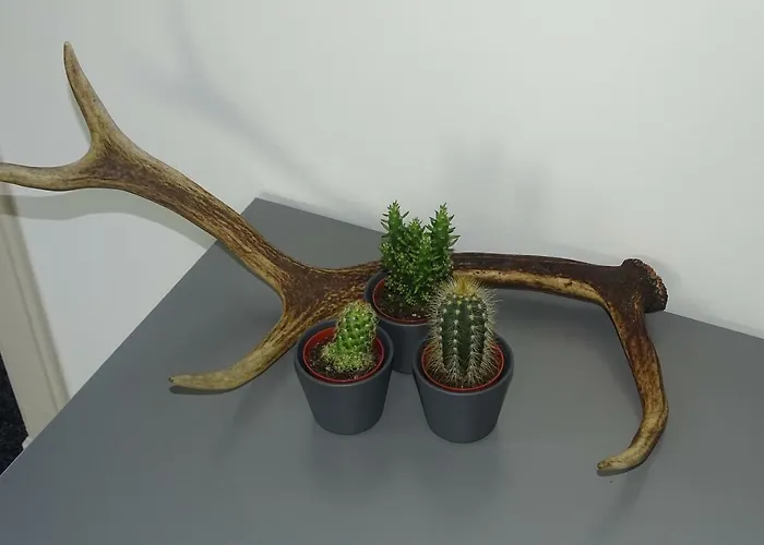 Hotell Hotel Vierhouten 3*