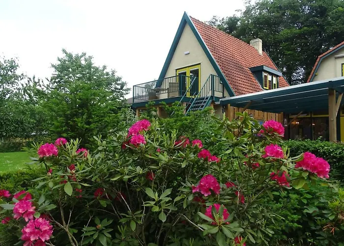 Hotel Hotel Vierhouten Vierhouten