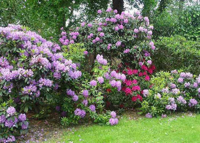 Hotel Hotel Vierhouten 3*