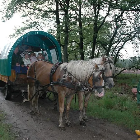 فندق Hotel Vierhouten 3*