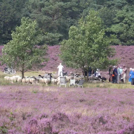 فندق Hotel Vierhouten