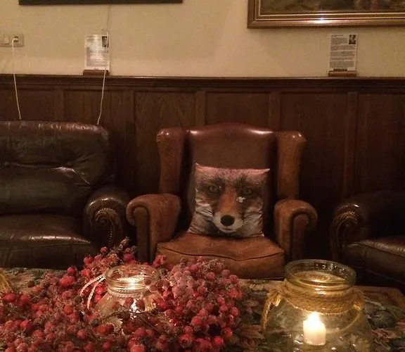 Hotel Vierhouten 3* Vierhouten